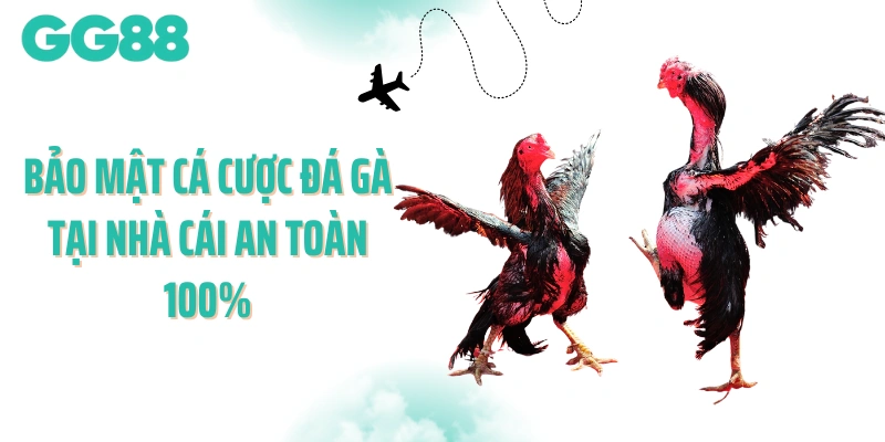 Bảo mật cá cược đá gà tại nhà cái an toàn 100%