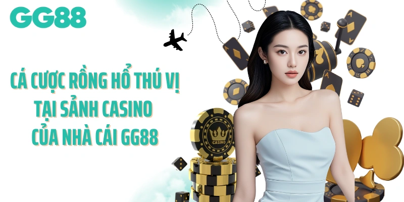 Cá cược Rồng Hổ thú vị tại sảnh casino của nhà cái