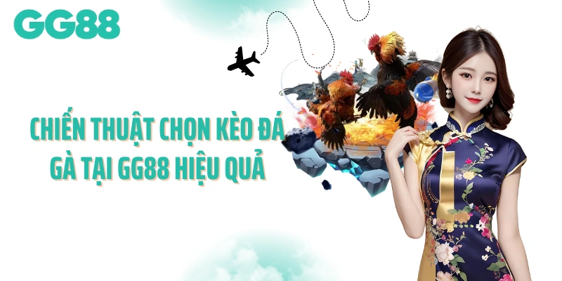 Chiến thuật chọn kèo đá gà tại GG88 hiệu quả