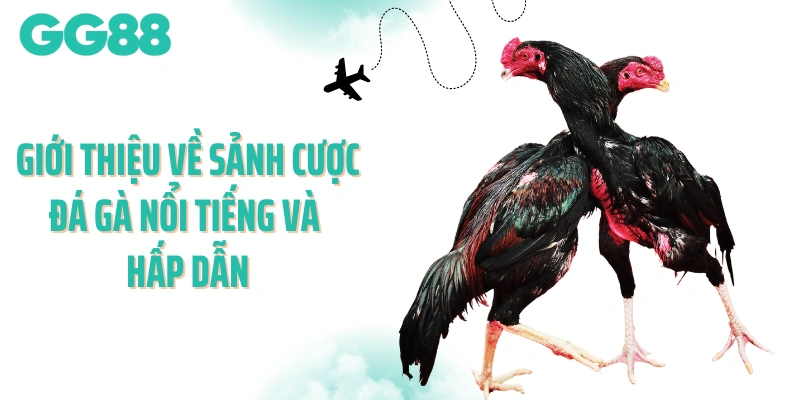 Giới thiệu về sảnh cược đá gà nổi tiếng và hấp dẫn