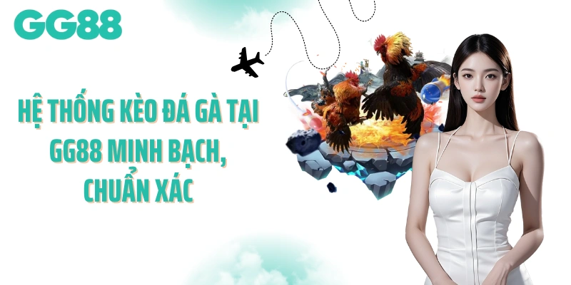 Hệ thống kèo đá gà tại GG88 minh bạch, chuẩn xác