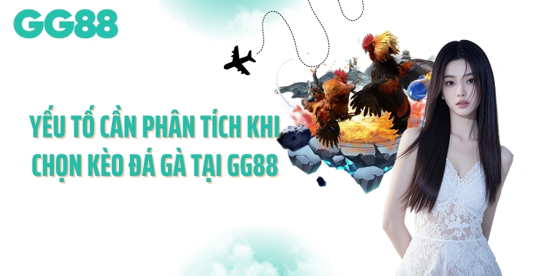 Yếu tố cần phân tích khi chọn kèo đá gà tại GG88